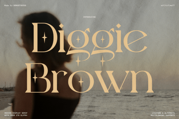 Diggie Brown: A Modern Serif with Timeless Appeal