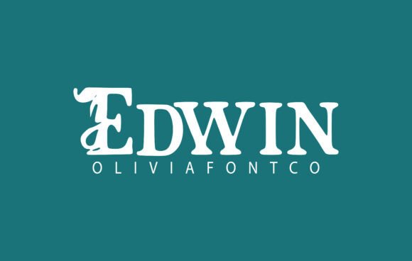 Edwin: A Sans Serif with Romance