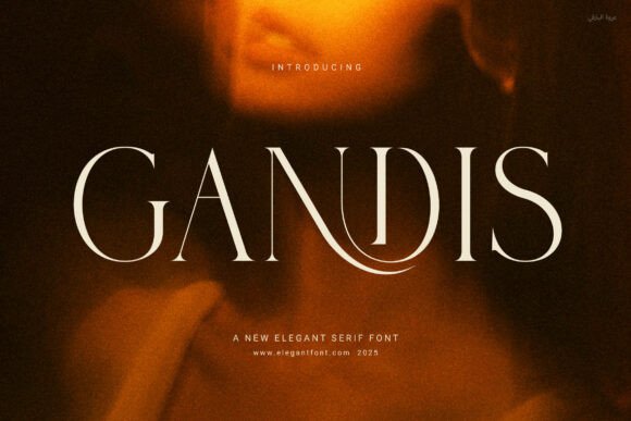 Gandis Elegant Serif Font for Editorial Design Projects
