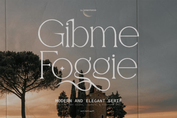 Gibme Foggie: A Modern Serif for Business