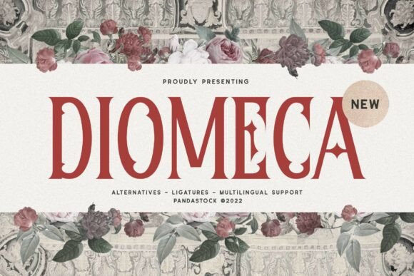 How Diomeca Gave My Small Business a Polished New Look