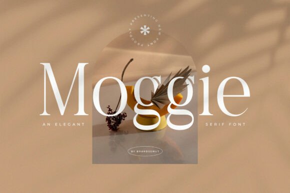 Moggie: A Modern Serif Font That Elevates Web Design